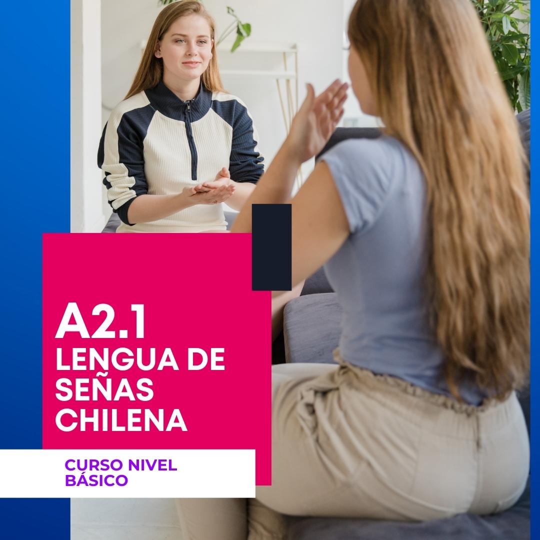 Instituto Enseñame - Curso Nivel Básico A2.1 Lengua de señas chilena