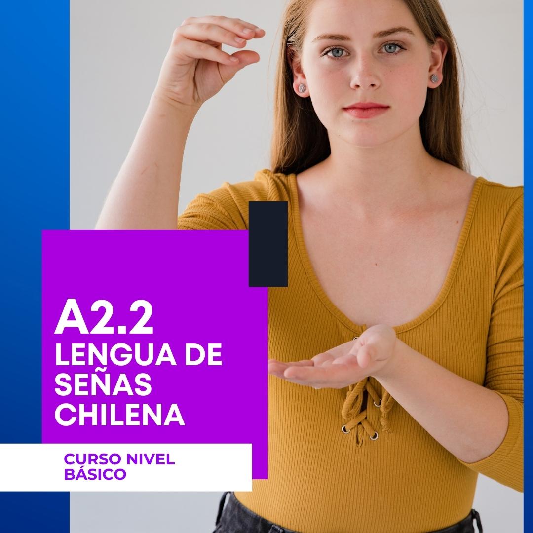 Instituto Enseñame - Curso Nivel Básico A2.2 Lengua de señas chilena