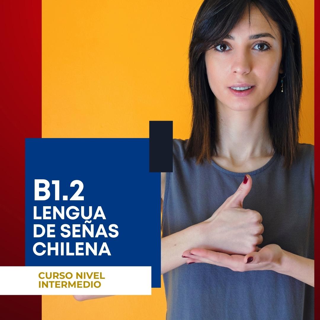 Instituto Enseñame - Curso Nivel Básico B1.2 Lengua de señas chilena
