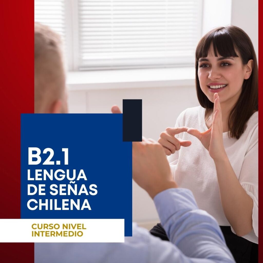 Instituto Enseñame - Curso Nivel Intermedio B2.1 Lengua de señas chilena